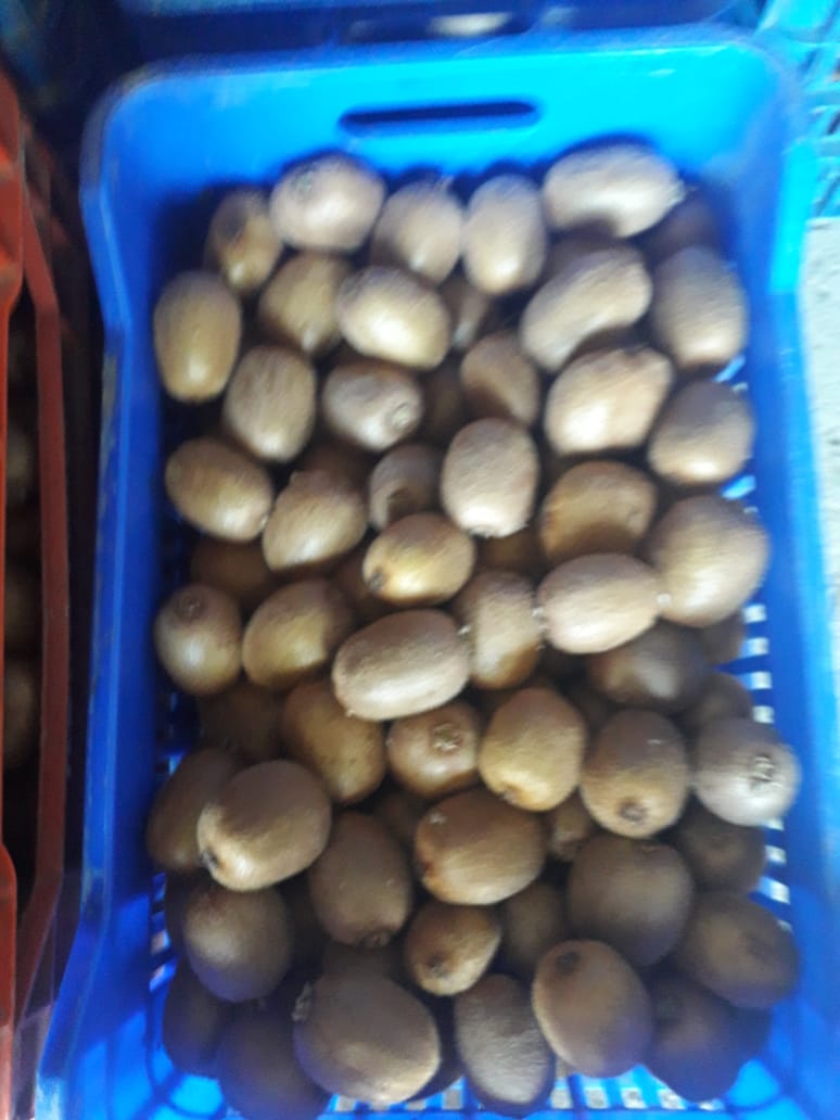 Producimos kiwis desde hace 20 años, que ofrecemos a la venta aquí