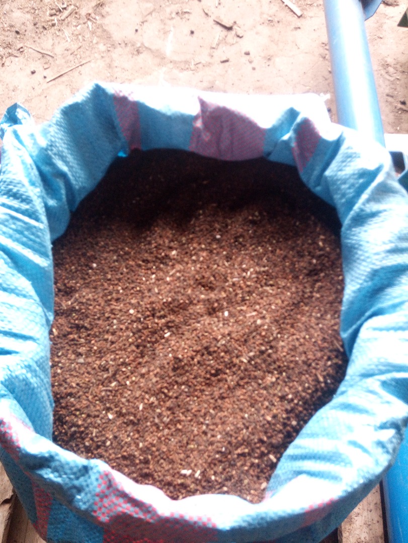 Hola, vendo unas 12 toneladas de trigo sarraceno orgánico, limpias y secas