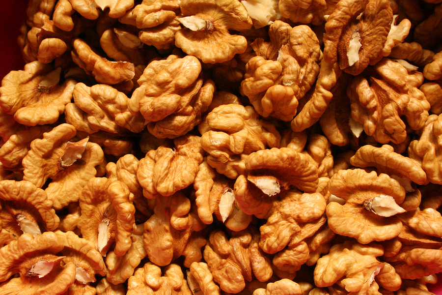 Compramos nueces (nueces) en cualquier cantidad (desde 200 kg)