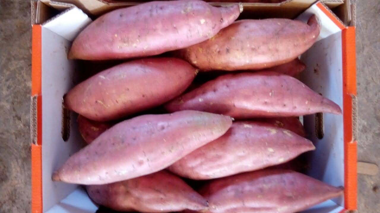Boniato De Pulpa De Naranja
