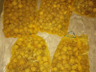 Venderé nueces Jacki, grandes, 60 kg y pequeñas, 2