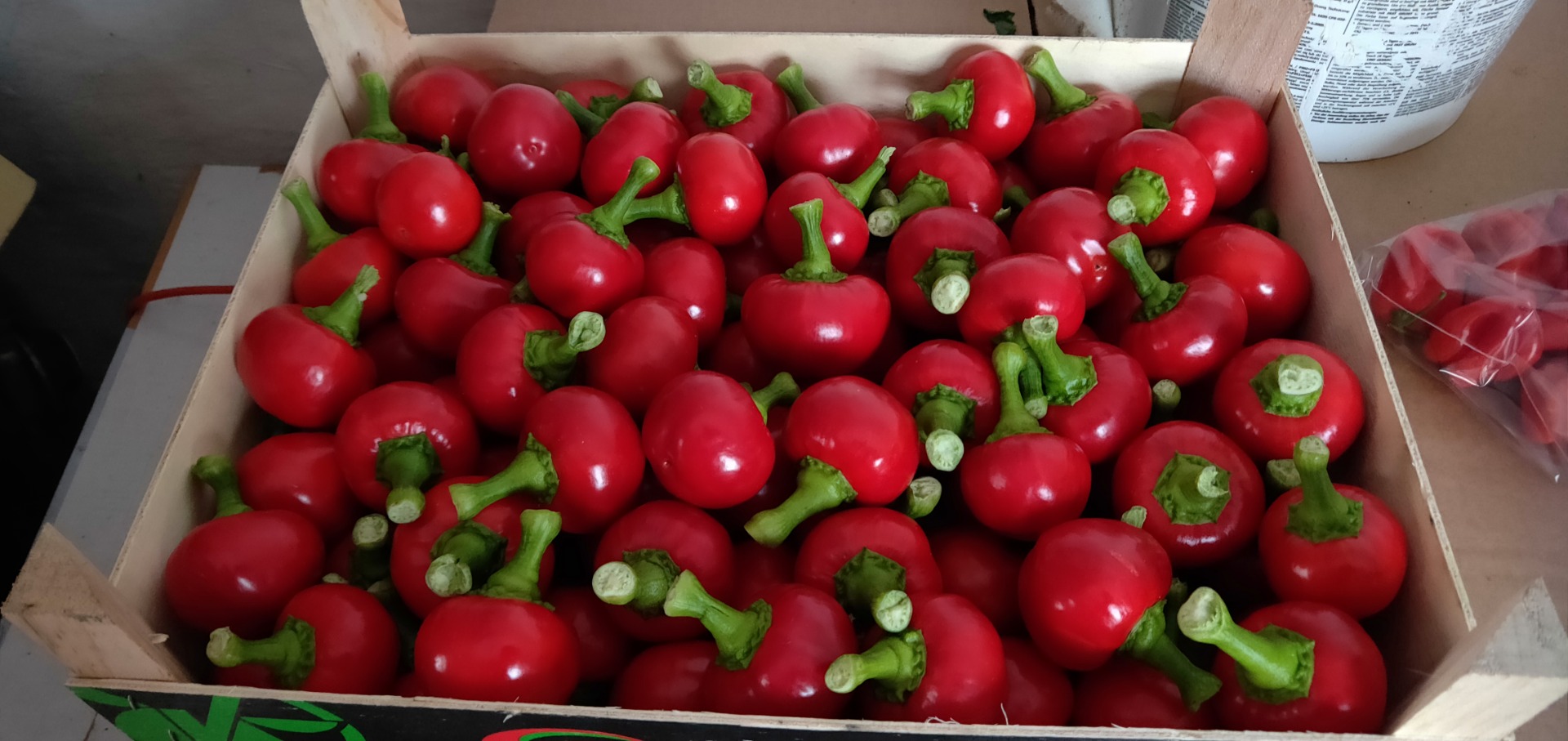 Pimiento cereza para antipasti