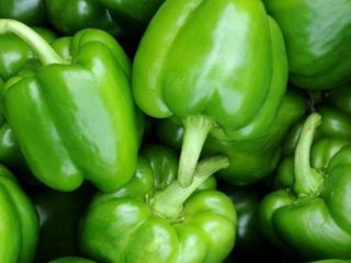 Tengo pimientos verdes a la venta, cantidad de camiones