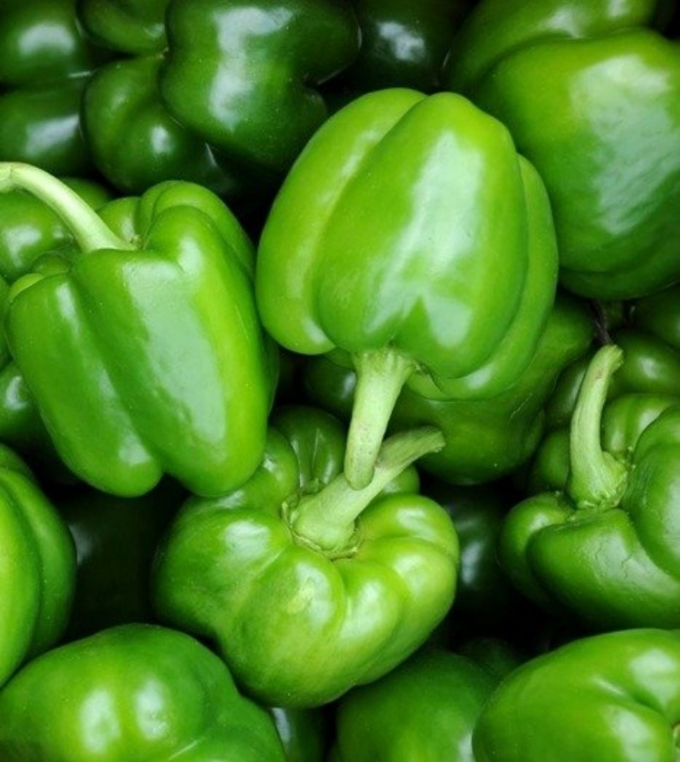 Tengo pimientos verdes a la venta, cantidad de camiones molidos
