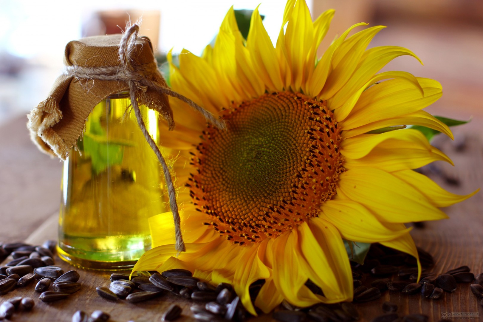 Suministramos este tipo de aceite de girasol al por mayor: Aceite refinado a granel Aceite sin refinar a granel Aceite refinado y sin refinar en botella Aceite
