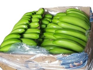 Nos dedicamos al negocio de la venta al por
