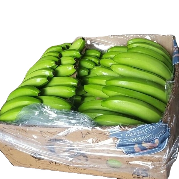 Nos dedicamos al negocio de la venta al por mayor, la distribución, el suministro y el comercio de una variedad fresca de bananos Cavendish que son ricos en