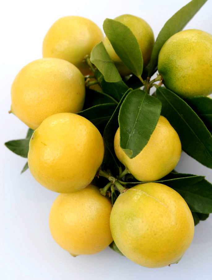 El limón dulce, también conocido como lima, lima mediterránea, lima dulce limón de Túnez, bergamota de Túnez, lim ahlou (en árabe) es una fruta cítrica con una