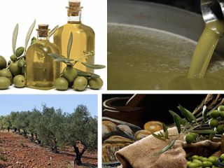 Aceite de Oliva Túnez a Granel
