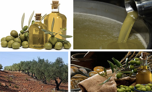 Aceite de Oliva Túnez a Granel