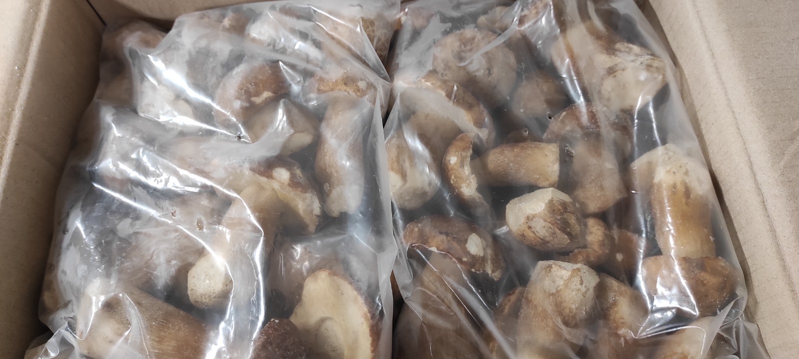 Hongos congelados de primera calidad tengo alrededor de 15 toneladas contáctame