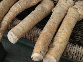Hola. Vendo una raíz de rábano picante de 2