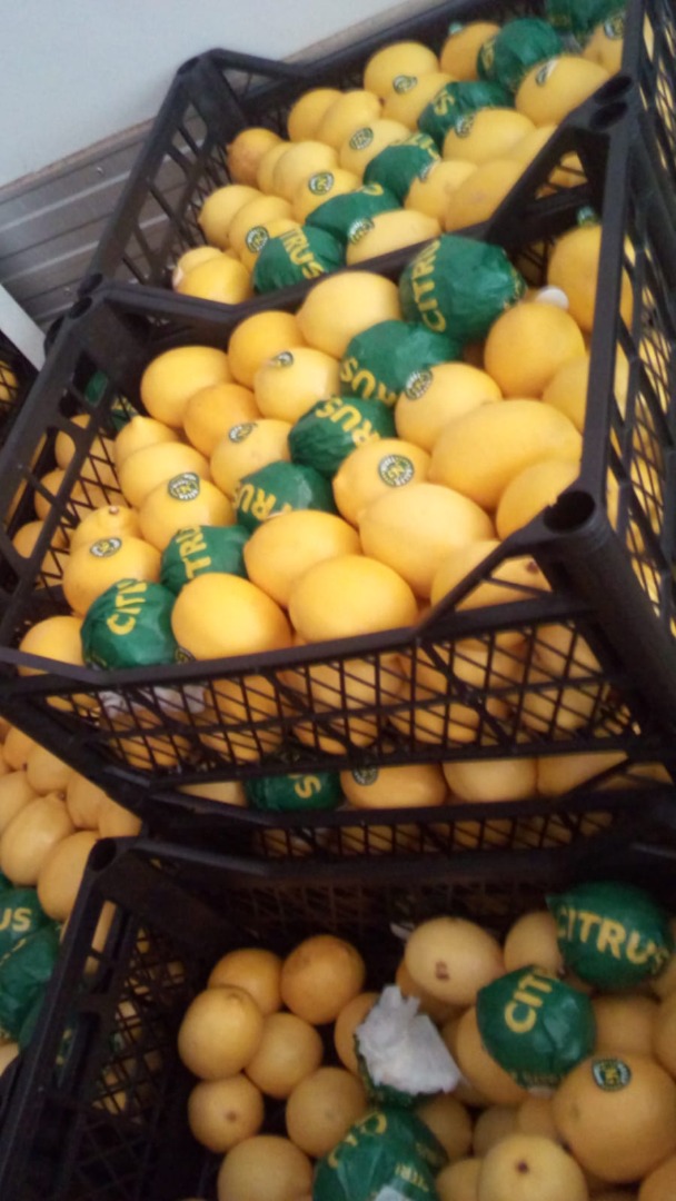 Vendo urgentemente 12 t de mandarinas