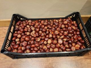 Hola, tengo a la venta unos 100 kg de