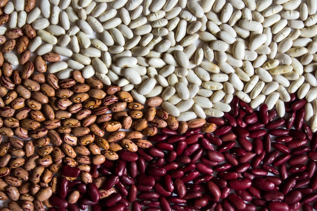 Frijoles de campos ucranianos Ofrecemos a la venta frijoles de campos ucranianos