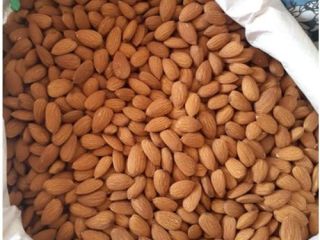 Anacardos, almendras, nueces OUNT / 454bm: W210, W240, W320,