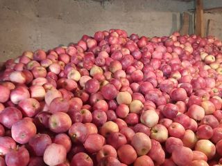 Vendo manzanas así que tienes muchos detalles, puedes contactarme