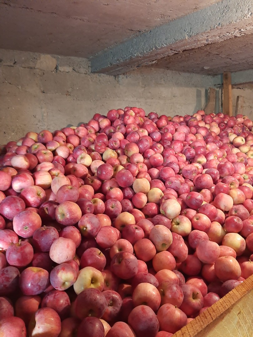 Vendo manzanas así que tienes muchos detalles, puedes contactarme en cualquier momento