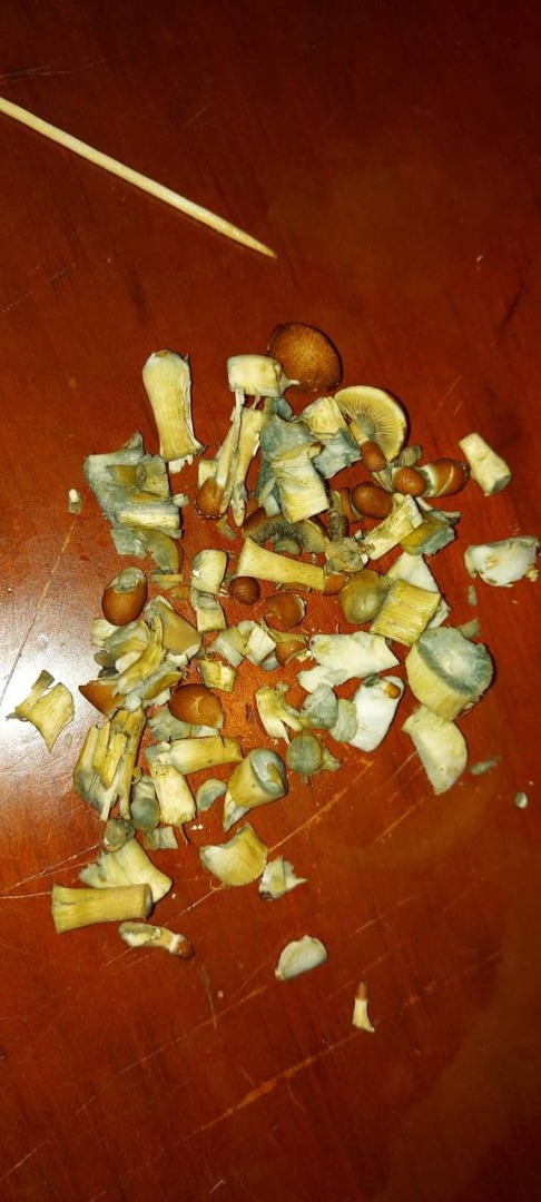 Hongos Golden Teacher, hongos Envy pene y otras drogas psicodélicas disponibles a un precio muy asequible, entrega discreta disponible ...