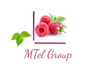 Hola, Somos un Mtel Fruit Group, un Grupo de