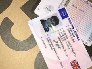 Compre pasaportes, licencia, visas, permiso