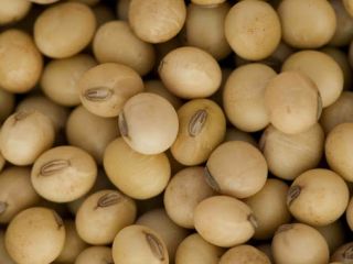 Nuestros productos precios FOB, todos disponibles con nosotros buscamos