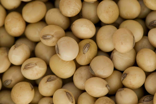 Nuestros productos precios FOB, todos disponibles con nosotros buscamos compradores serios, maní 1520 $ TM Cantidad 1000mt No GMO Soja 660 $ mt Cantidad Prueba