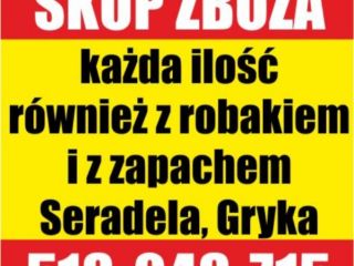Compra de granos de cualquier calidad con olor y