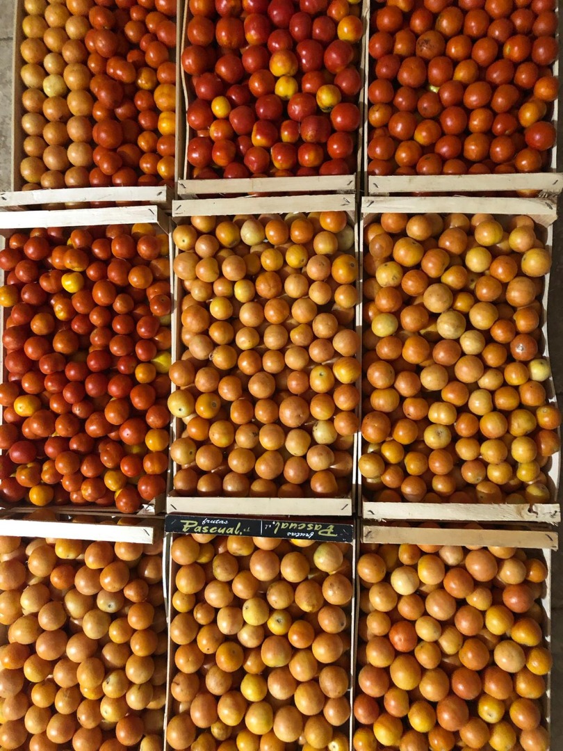 Tomates rojos amarillos de invierno disponibles a 2 euros el kg o en bandejas de 500g a 1,50 por unidad Para información y reservas Ugento a través de