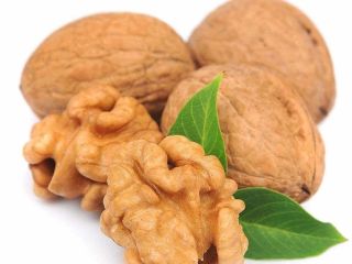 Compramos nueces en Khmelnitsky, Kiev, las regiones de Poltava