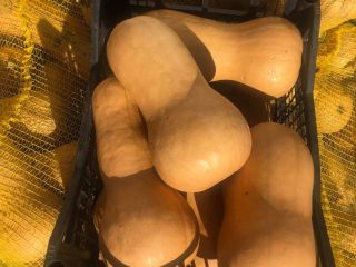 Vendo pastel de calabaza. Cantidad aproximada 10 toneladas.