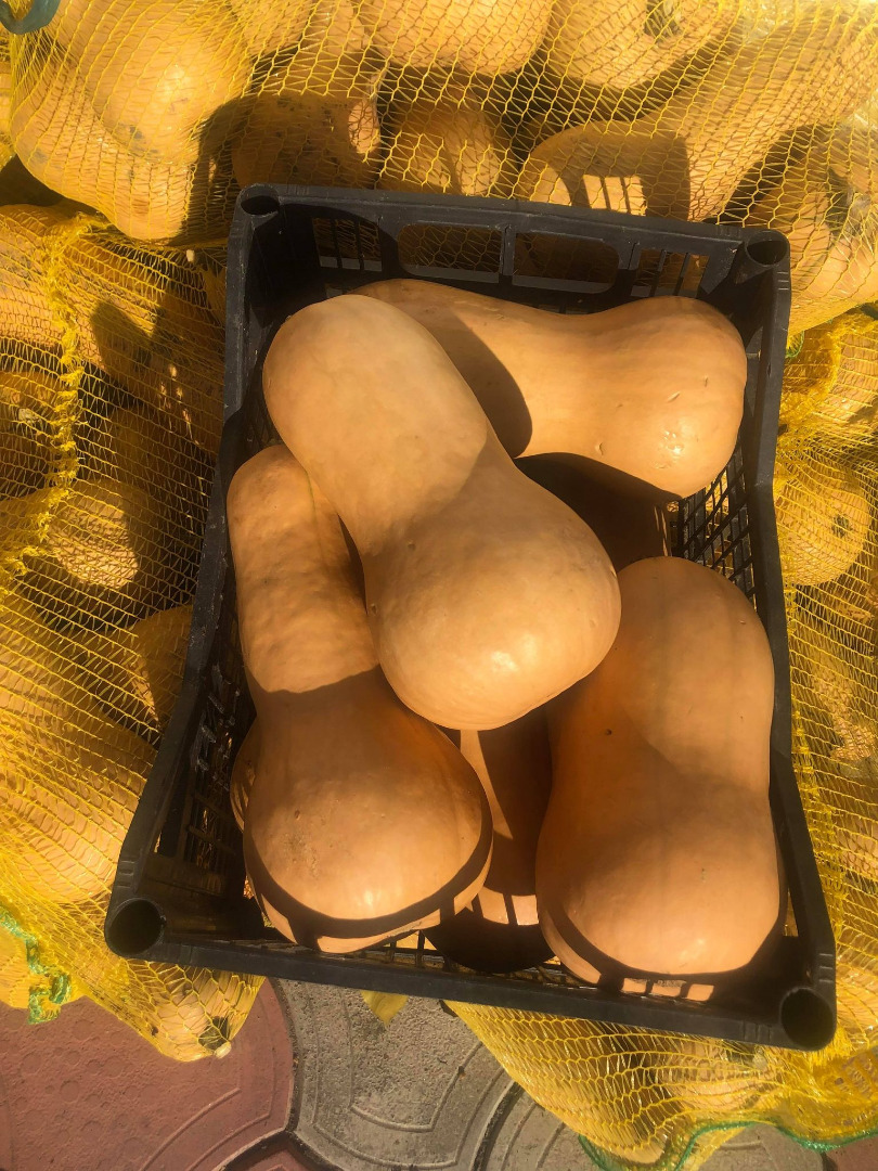 Vendo pastel de calabaza