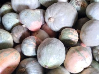 Calabaza sin químicos, ayuda al campesino trabajador .... gracias