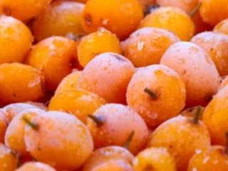 Bayas de espino amarillo. Producimos bayas de espino amarillo