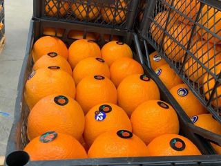 Naranjas Helo Podemos enviar muestras
