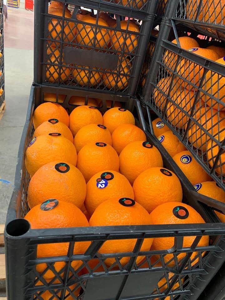 Naranjas Helo Podemos enviar muestras