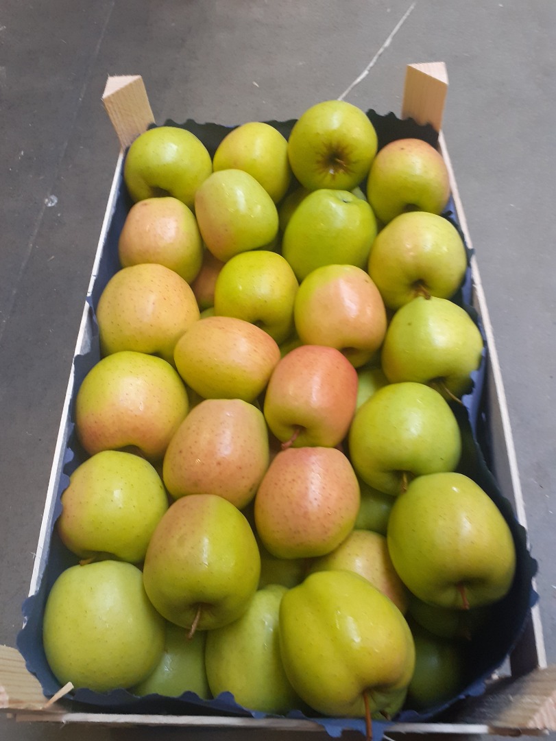Nuestra empresa comercializa manzanas y distribuye manzanas en todo el mundo