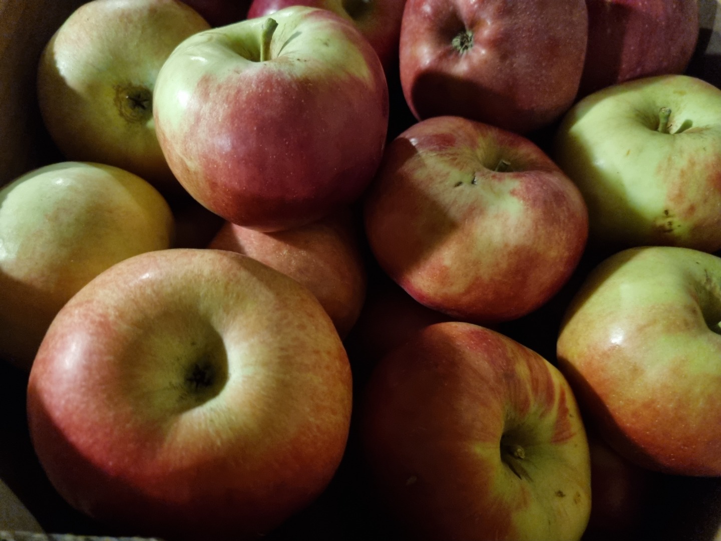 Idared y golden delicios en Prespa