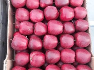 Hola, tengo a la venta manzanas de la variedad
