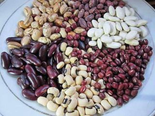 Frijoles al por mayor (fabricados en Ucrania) La empresa