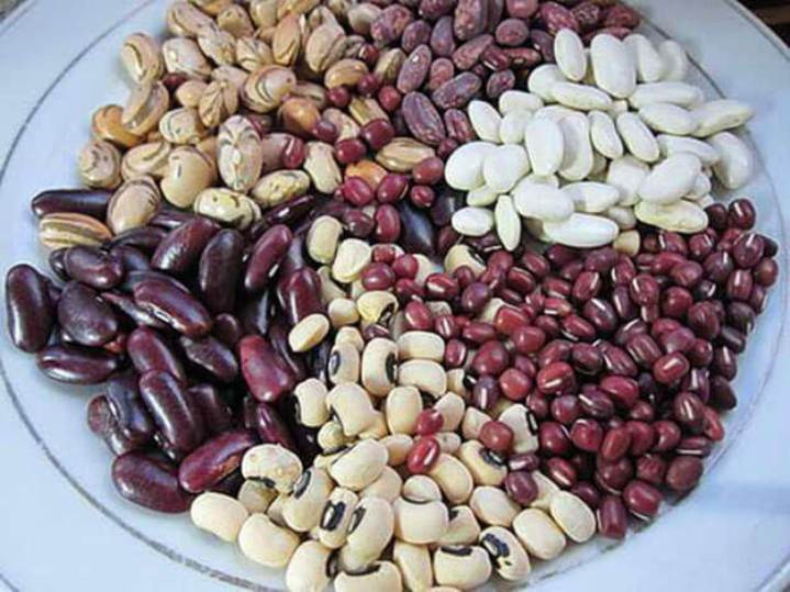 Frijoles al por mayor (fabricados en Ucrania) La empresa ucraniana Bins Naturprodukt vende frijoles a granel