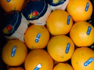 Naranjas Navelina a la venta. Fruta directamente de la