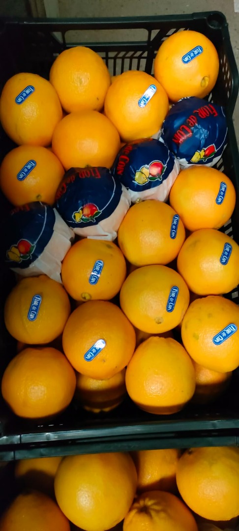 Naranjas Navelina a la venta