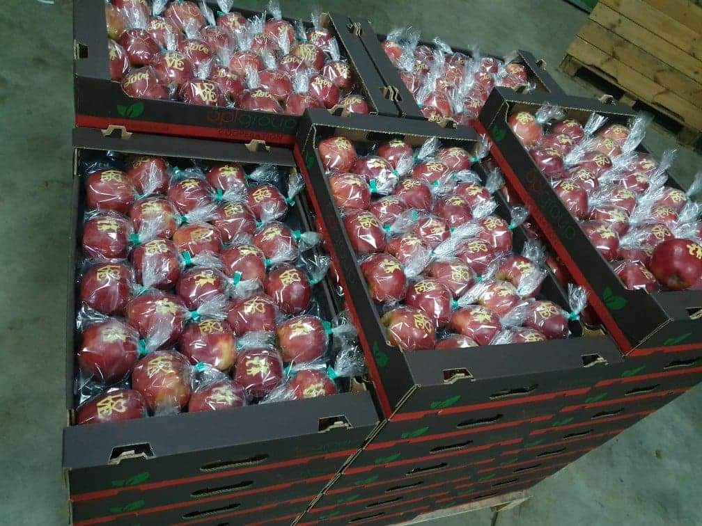 ¡Manzanas navideñas! Venderé manzanas ocasionales grabadas con láser con cualquier inscripción, gráfico o logotipo
