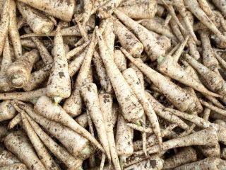 Venderé perejil, variedad eaglo, agradable, saludable. 2,00 PLN kg.