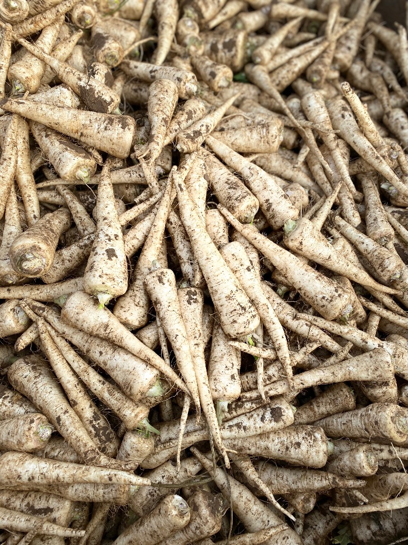 Venderé perejil, variedad eaglo, agradable, saludable