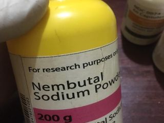 Compre Nembutal, compre pentobarbital sódico en línea Nembutal pertenece