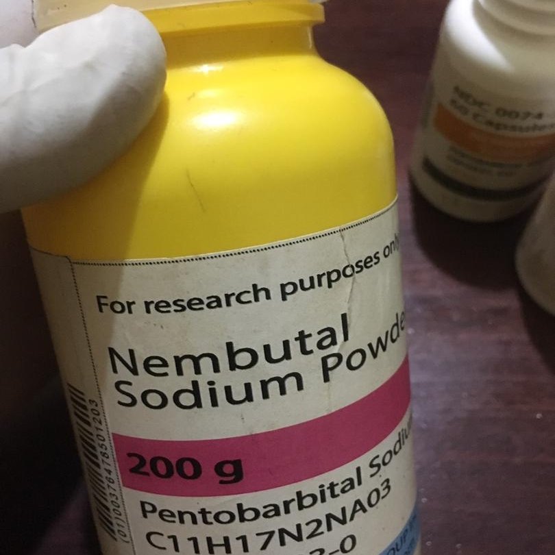 Compre Nembutal, compre pentobarbital sódico en línea Nembutal pertenece a una clase de barbitúricos y actúa como depresor o sedante