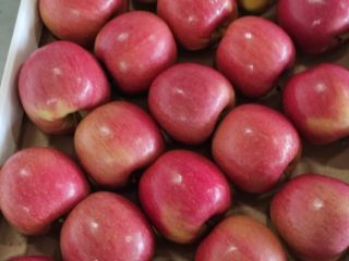 Hola, estamos aceptando pedidos para la cosecha de manzanas