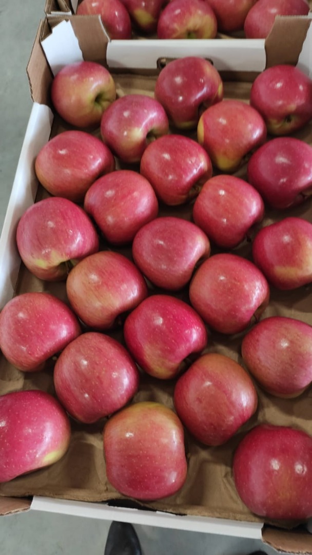 Hola, estamos aceptando pedidos para la cosecha de manzanas 2021 directamente del huerto de manzanas